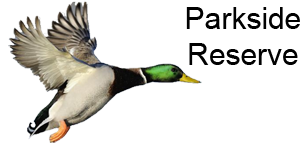flying duckSM